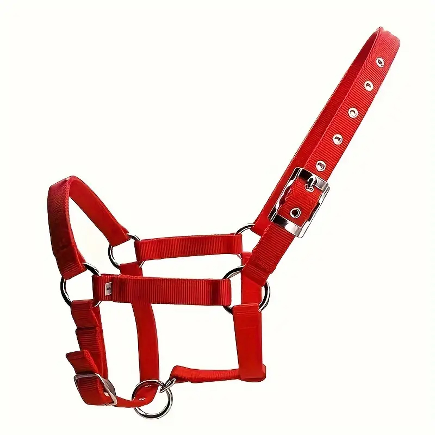 Tips For Safer Horse Riding